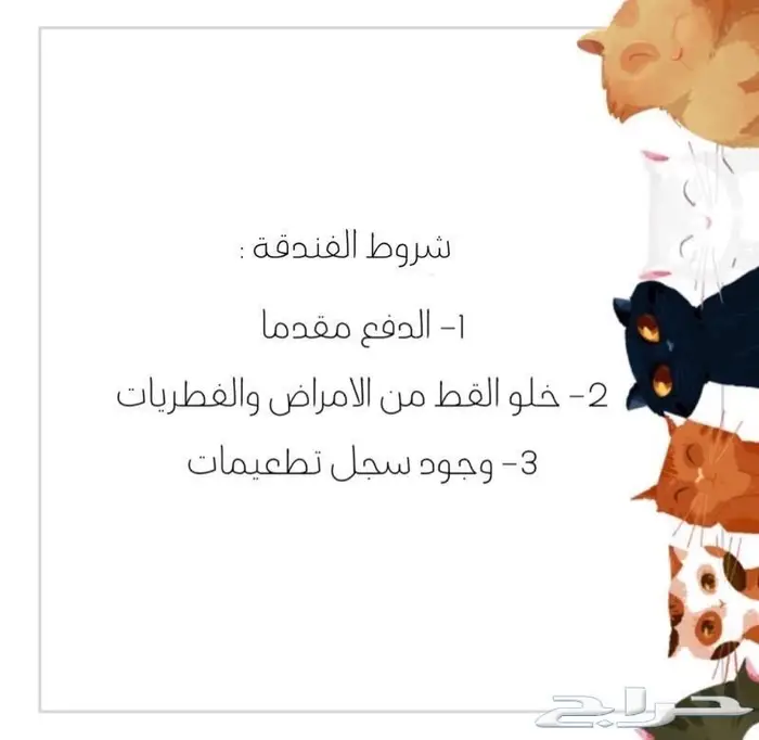 فندقة قطط وطيور - شاهد التقييمات 3