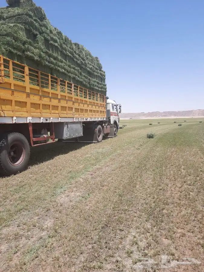 بوكلينات للايجار الشهري واليومي قلاب لوبد ونش كرين 4