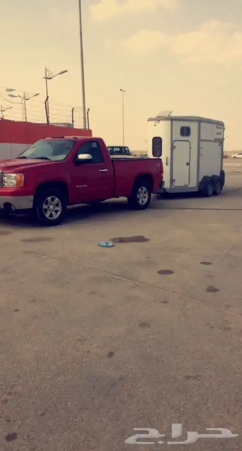 نقل خيل داخل الشرقيه وخارجها 0