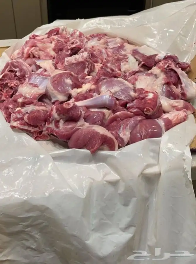 ذبايح ابو عزام خرفان وتيوس خميس مشيط وابها 11