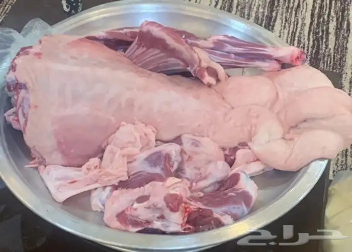 ذبايح ابو عزام خرفان وتيوس ابها خميس مشيط واحد رفيده 8