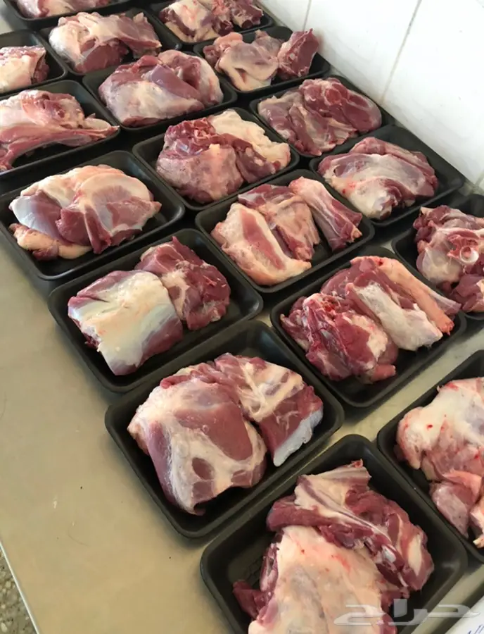 خرفان مفطح او ثلاجه 2