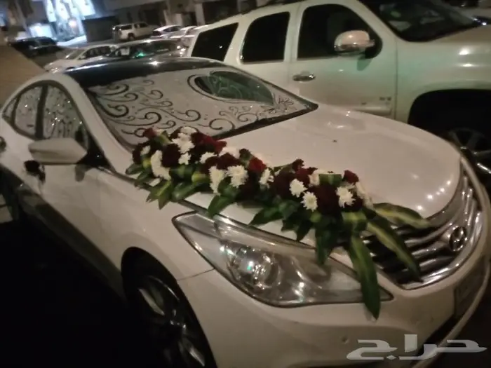 تشريع سيارات العرسان 25