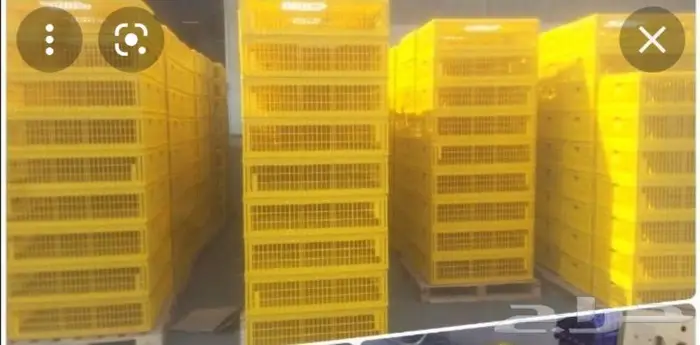 شبك نقل دجاج قفص نقل الطيور اصفر 1