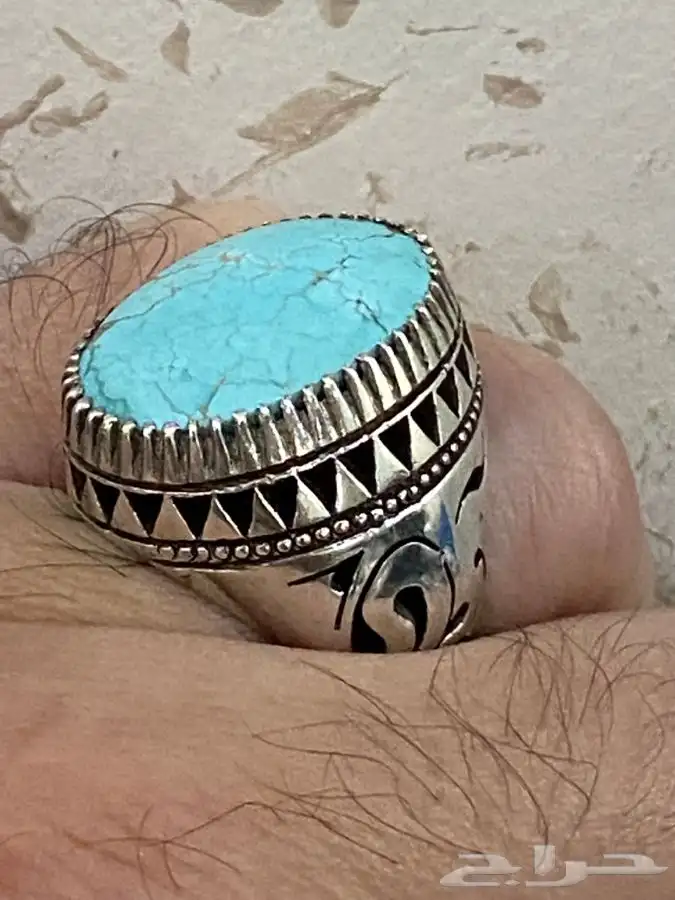 فيروز نيشابوري شبكي 5