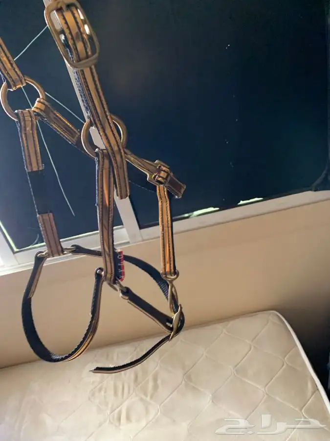 رشمة خيل جمال للبيع 3