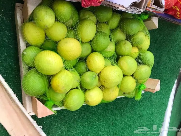 الباسل للخضار والفواكه موقعنا مخطط 1 8