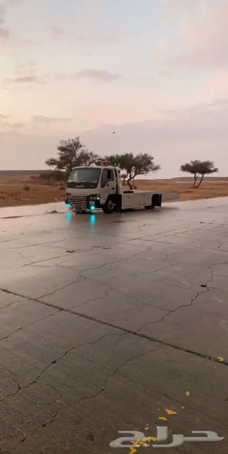 سطحة غرناطة الحمراء الروضة 0