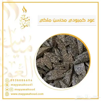 عود كمبودي محسن تايغر 0