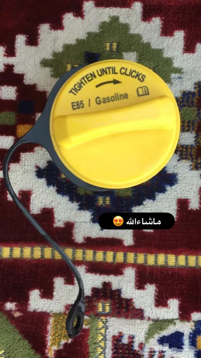 ثلاجة فورد 3