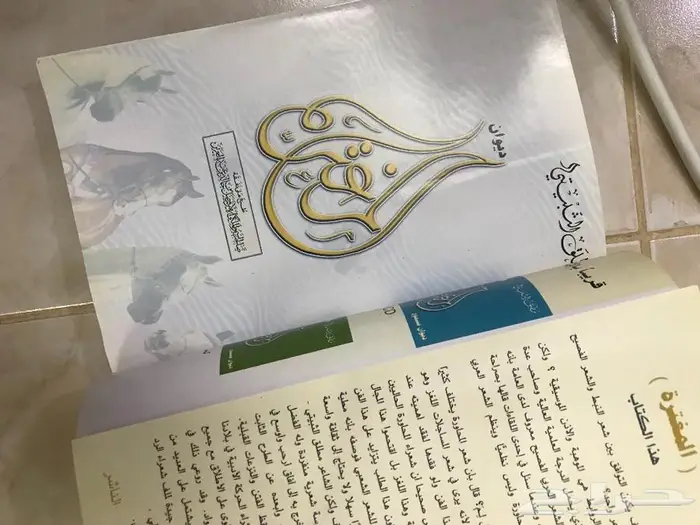 ديوان المغترة للشاعر مطلق الثبيتي 1