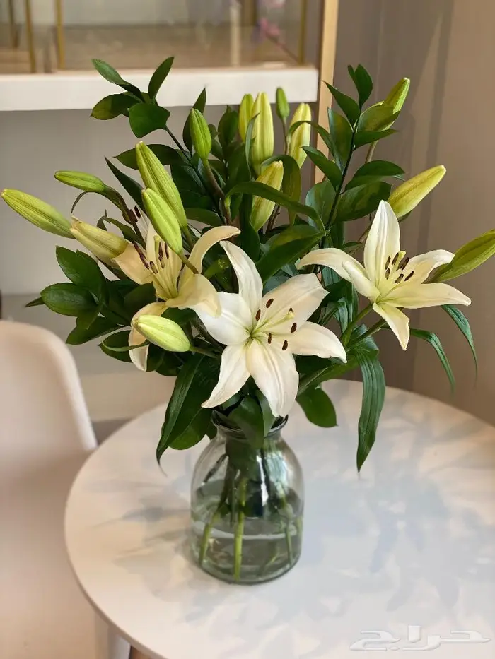 تنسيق هدايا باقات ورد حفلات توصيل الرياض 41