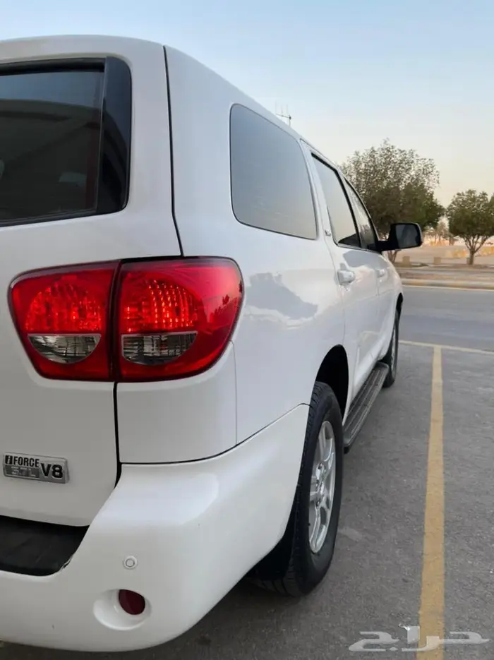 سكويا نظيف ( تم البيع ) 21
