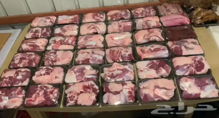 مسلوخ وجاهز 3