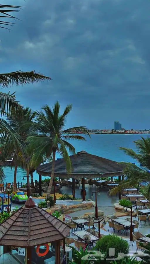 رحلات بحرية مالديف جدة جزيرة بياضه 18