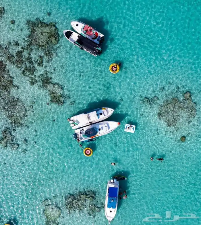 رحلات بحرية مالديف جدة جزيرة بياضه 16