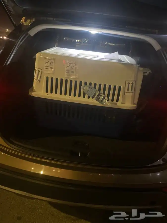 توصيل شحن كلاب قطط طيور الغربيه الرياض الشرقيه 14