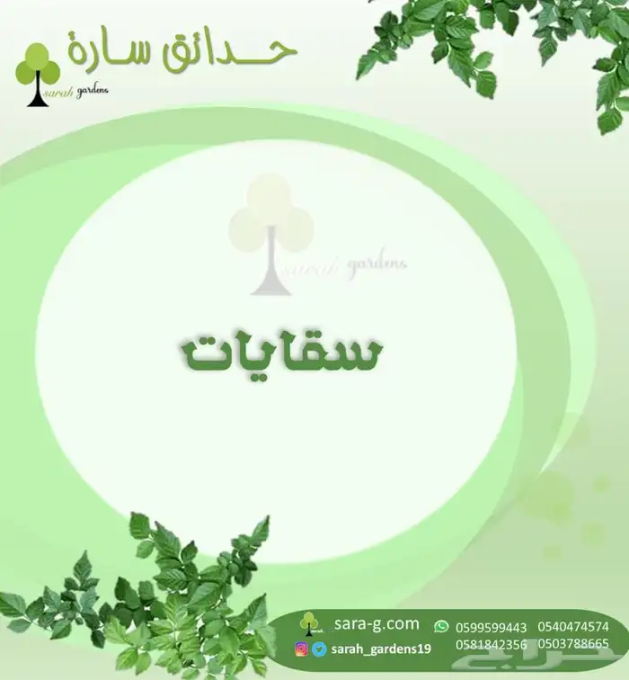 احواض حجر احجار للمشاريع وللحدايق بذور 29