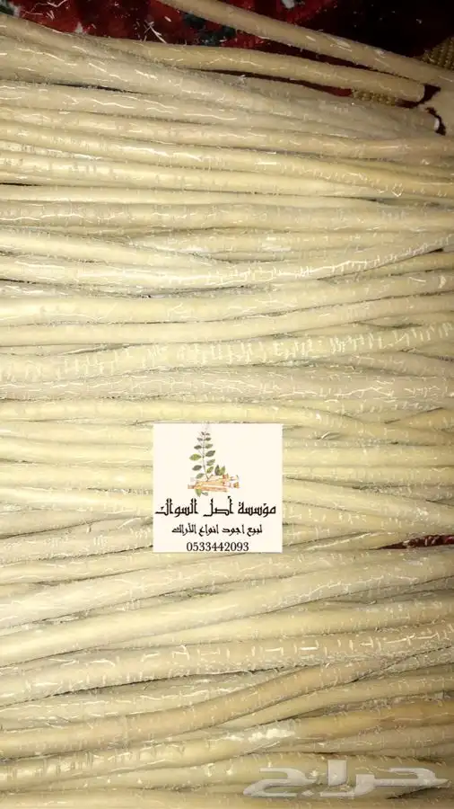 مسواك ابو حنش درجه اولى يصلك اينما كنت 3