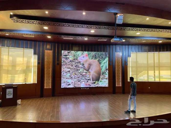 LED outdoor and indoor advertising screens 4