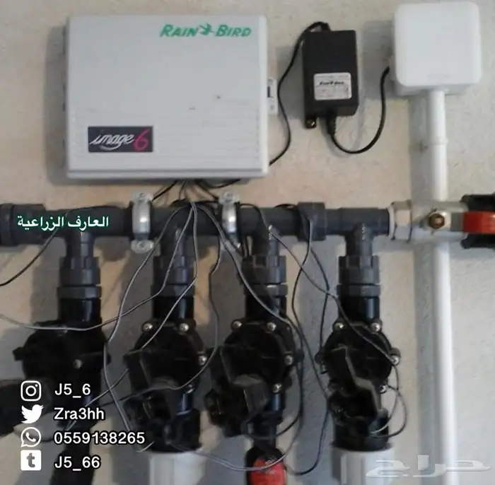 تايمر وين بيرد موقت ري 4