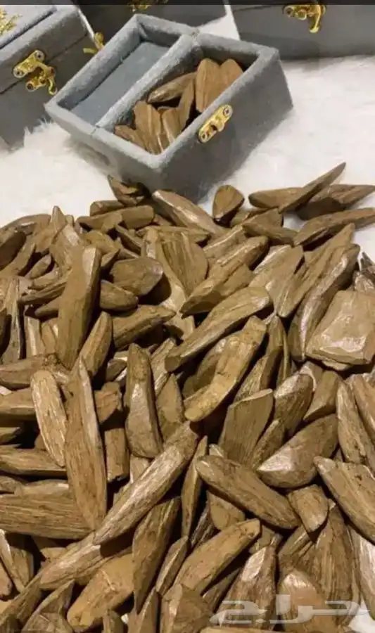 عود طبيعي محسن 1