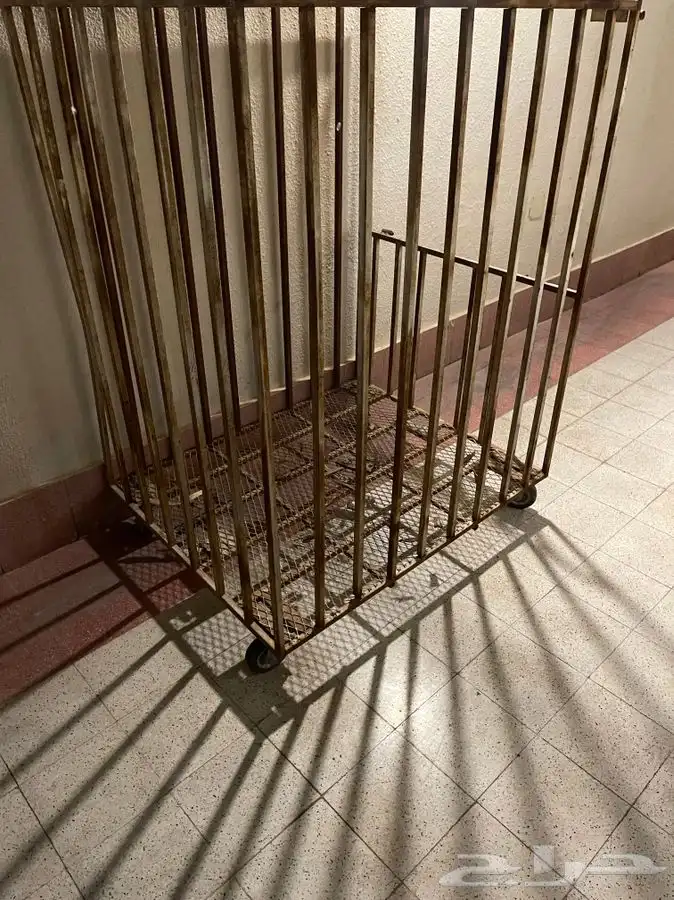 شبك تحميل نقل حبتين تم الاستغناء عنها 2