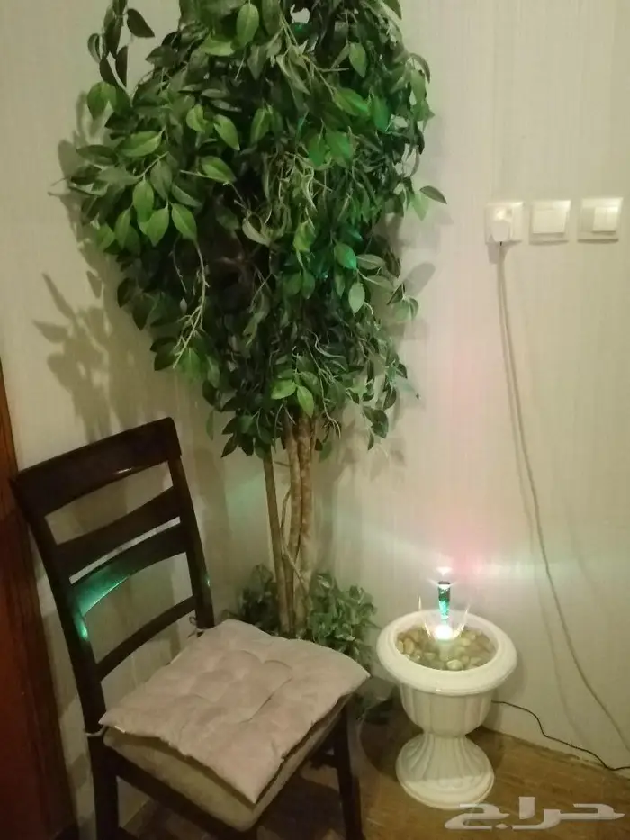 نافورة انيقة 4