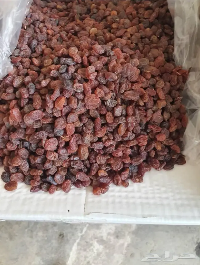 زبيب احمر ذهبي اسود اصفر افغاني 3