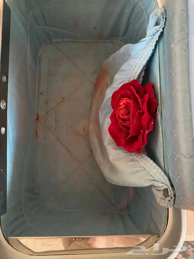 شنطة قديمة 2