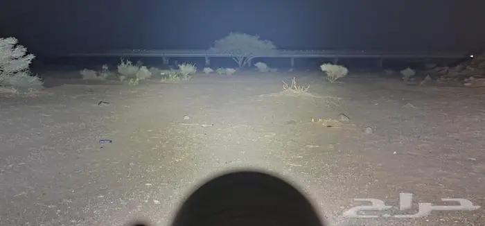 كشاف نايت كور - فينكس 3