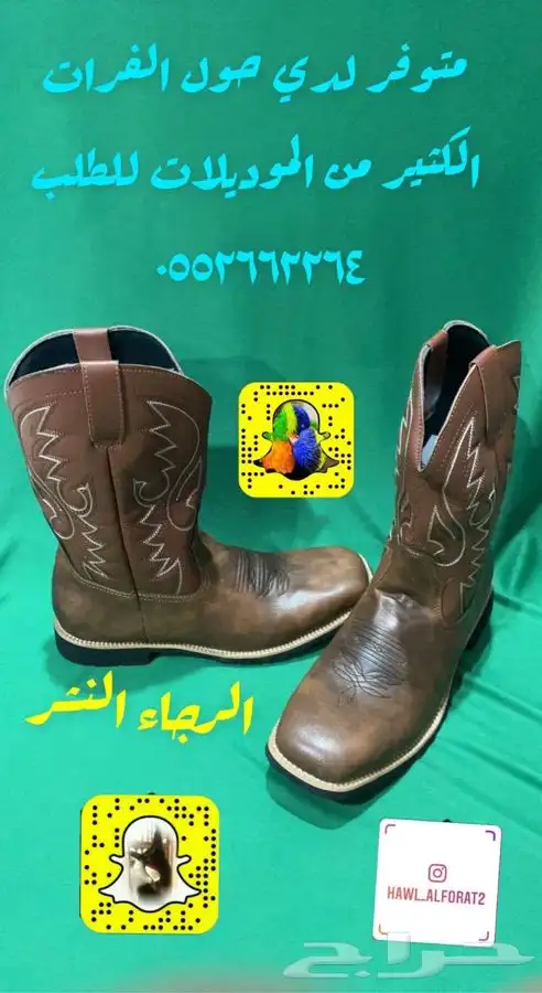 مستلزمات خيل وسرج بانسب الاسعار 0