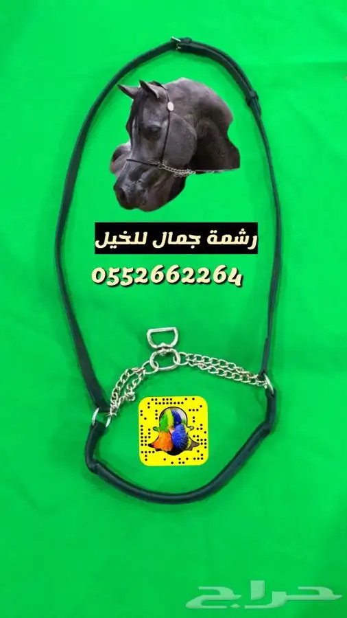 مستلزمات خيل وسرج بانسب الاسعار 13