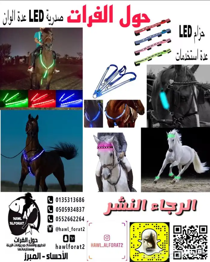 مستلزمات خيل وسرج بانسب الاسعار 18