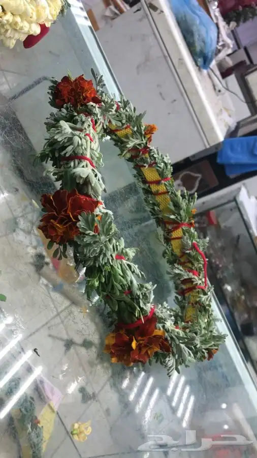 ورد وفل بكل أنواعها 22