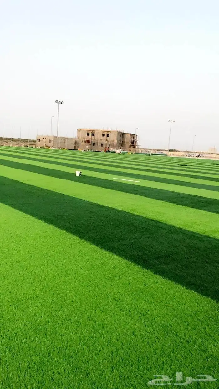 العشب الصناعي للملاعب والحدائق والارضيات المطاطية 5