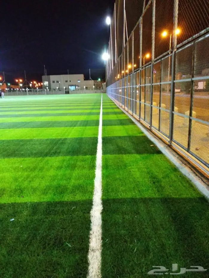 العشب الصناعي للملاعب والحدائق والارضيات المطاطية 7