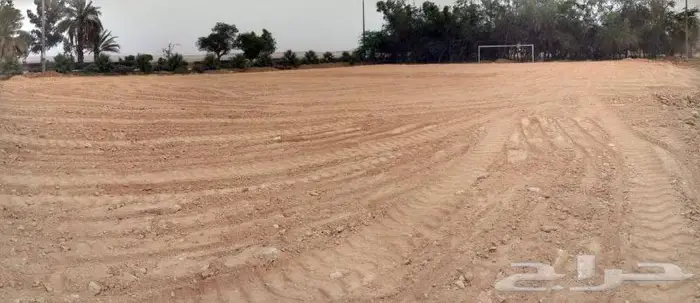 العشب الصناعي للملاعب والحدائق والارضيات المطاطية 3