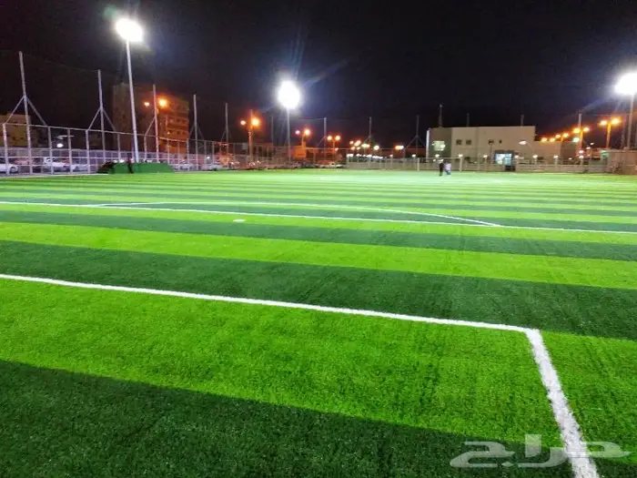 العشب الصناعي للملاعب والحدائق والارضيات المطاطية 8