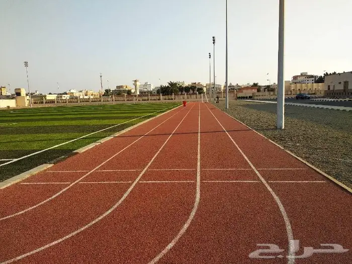 العشب الصناعي للملاعب والحدائق والارضيات المطاطية 9