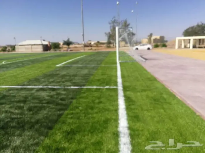 العشب الصناعي للملاعب والحدائق والارضيات المطاطية 0