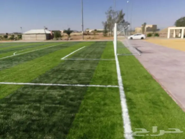 العشب الصناعي للملاعب والحدائق والارضيات المطاطية 2