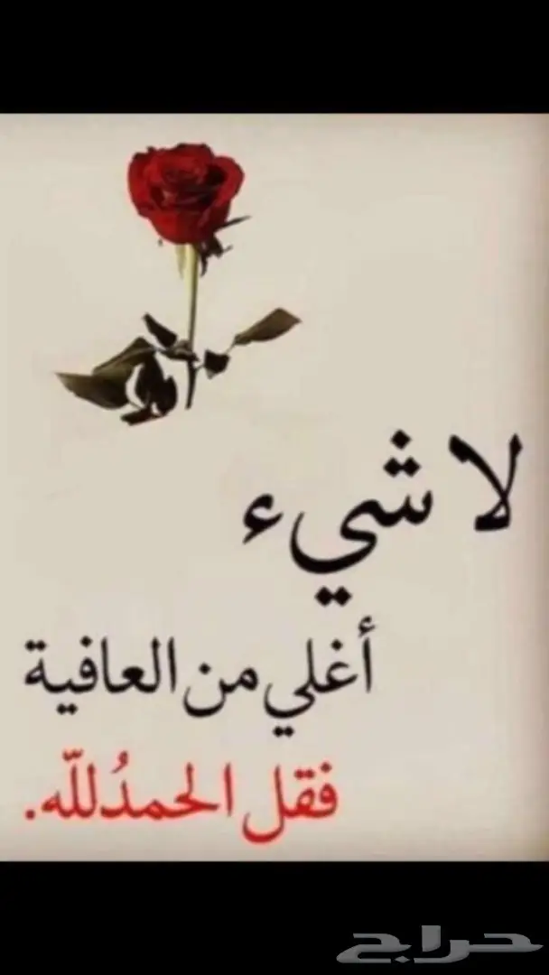 فخامة جديد فضة تحفة خاتم اصلي صب ثقيل جديد زخرفة رائعة 16