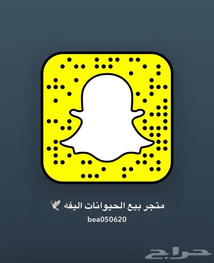 مرسول توصيل طلبات 5