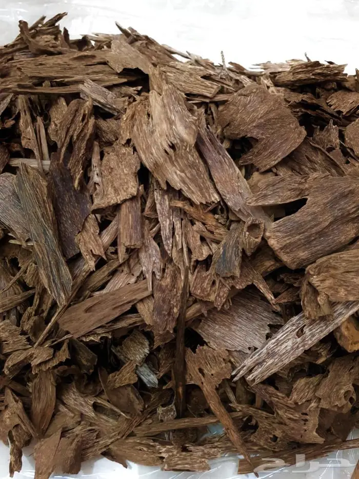 عود كلمنتان طبيعي دبل سوبر غابات بونتيانك من النوادر 0