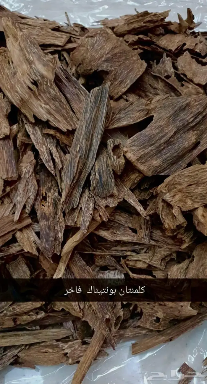 عود كلمنتان طبيعي دبل سوبر غابات بونتيانك من النوادر 3