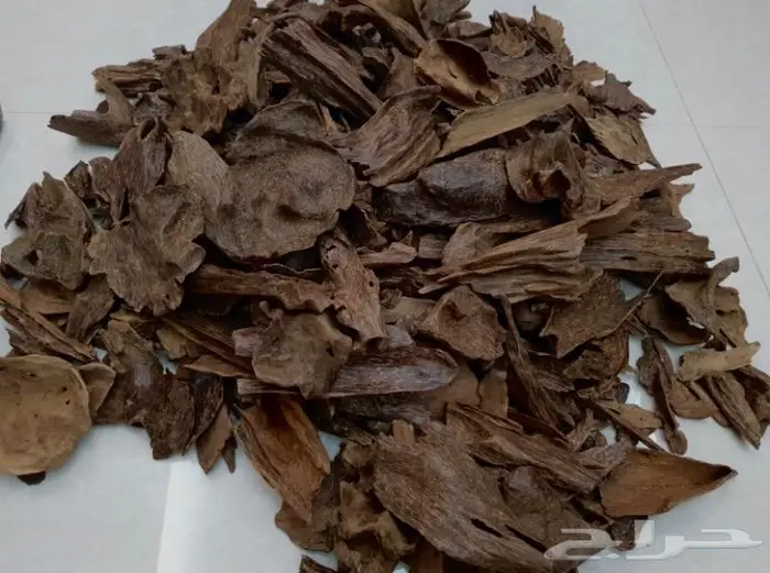 عود سيلاني غابات دبل سوبر فخم ونادر 8