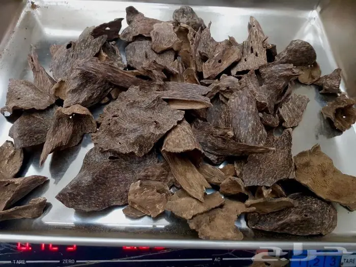 عود سيلاني غابات دبل سوبر فخم ونادر 5