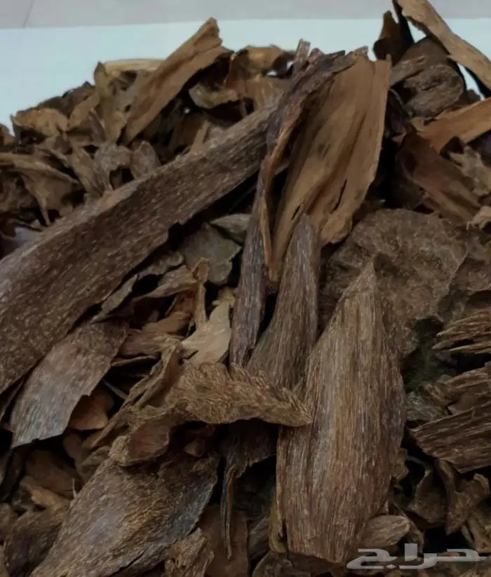 عود سيلاني غابات دبل سوبر فخم ونادر 2