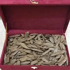 اجود انواع العود بسعر جملة الجمله موروكي 2